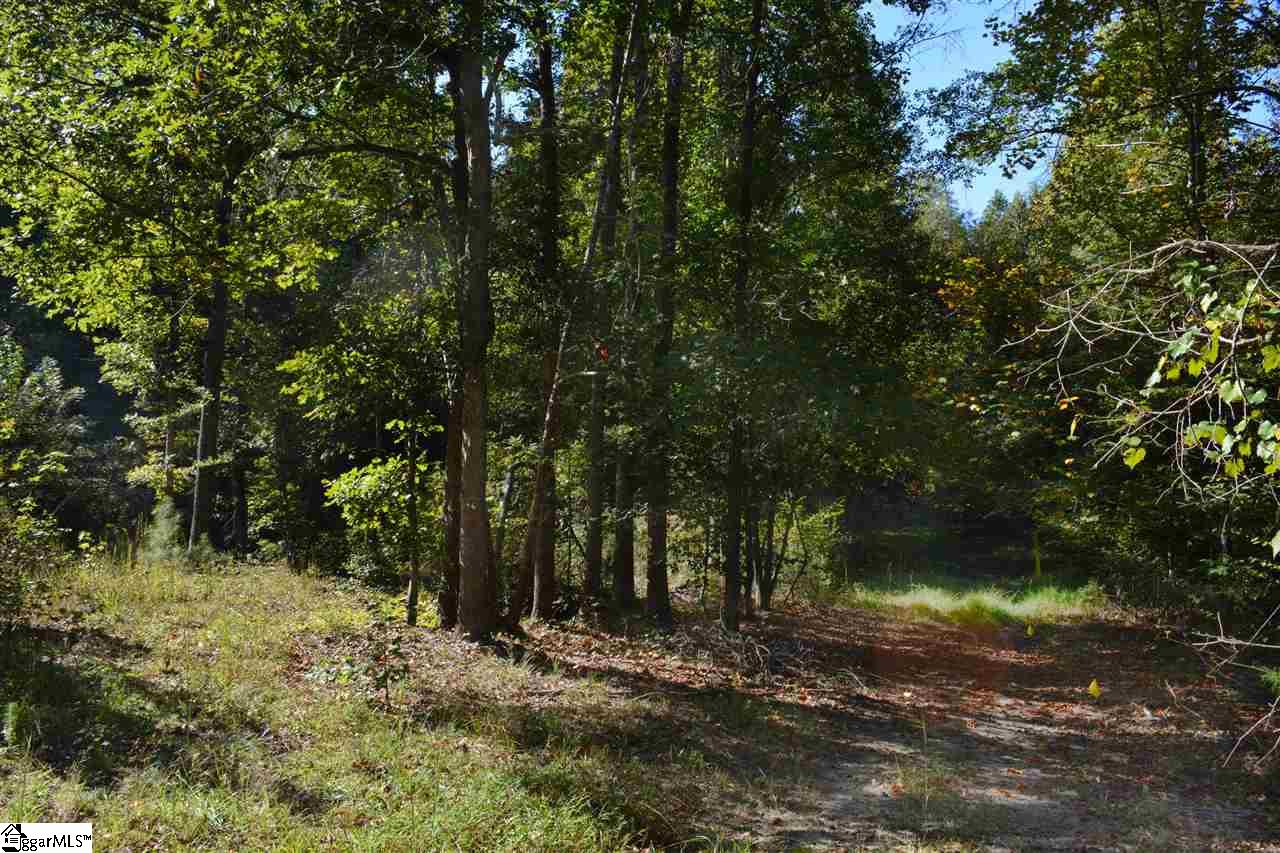 92 Carolina Way Fountain Inn, SC 29644 - Photo 9 of 9 Gallery Image 9
