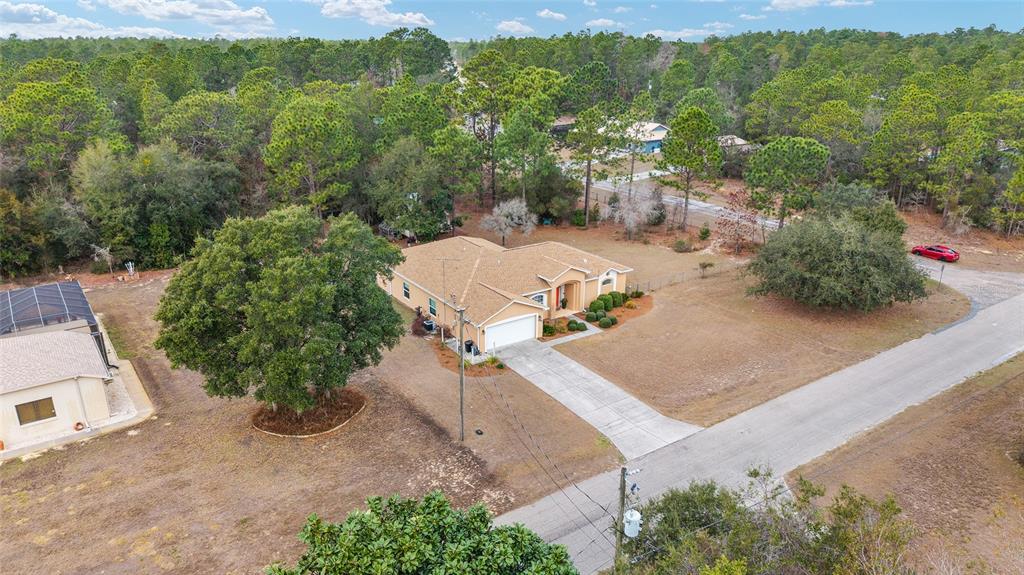 8290 North Ronda Drive Citrus Springs, FL 34433 - Photo 42 of 46