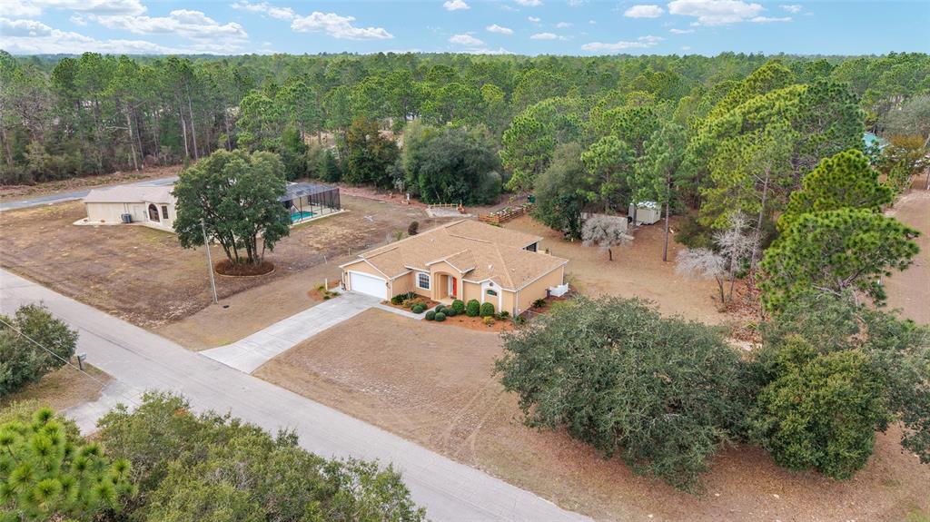 8290 North Ronda Drive Citrus Springs, FL 34433 - Photo 43 of 46