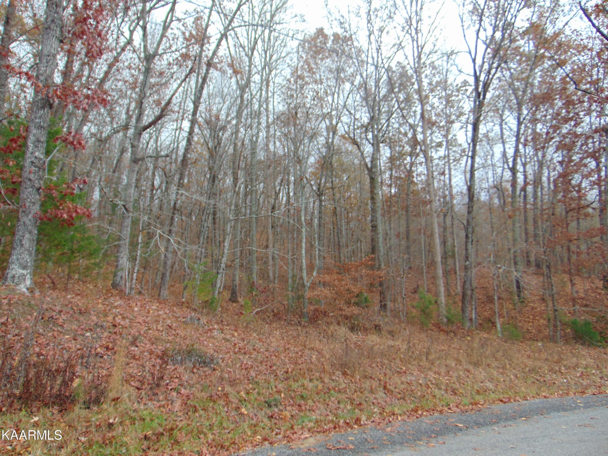 1056 County Road 179 Decatur, TN 37322 - Photo 1 of 24