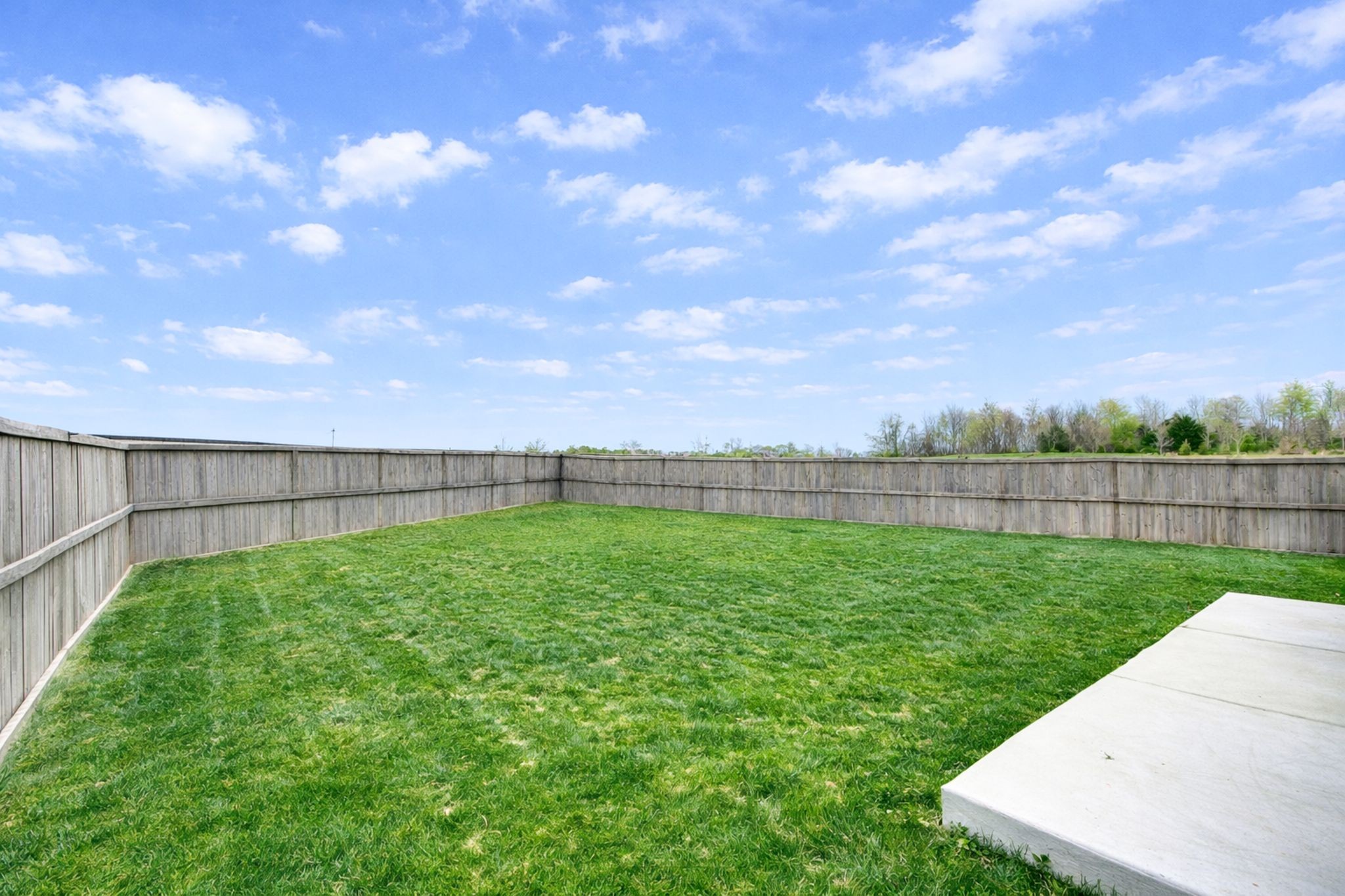 1039 Ewell Farm Drive Spring Hill, TN 37174 - Photo 47 of 70 a view of a backyard