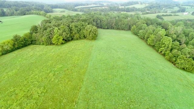 3785 Sinking Creek Road Greenback, TN 37742 - Photo 13 of 14 S3