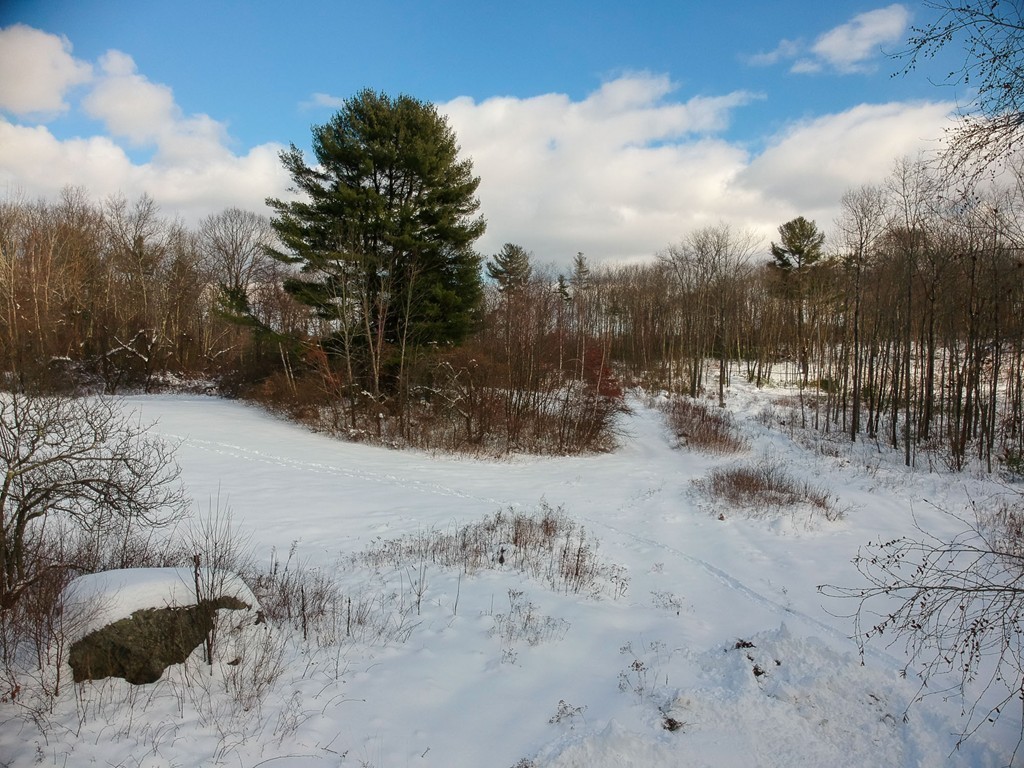 Lot 12 Jackson Road Hardwick, MA 01037 - Photo 15 of 20 Gallery Image 15