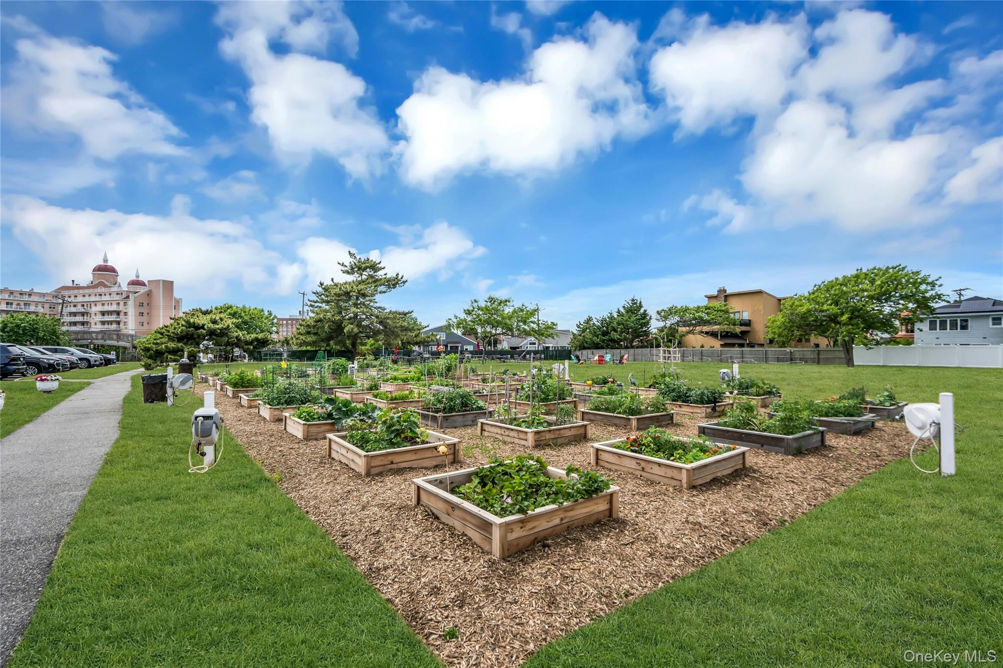 2 Richmond Road, Unit 5W Lido Beach, NY 11561 - Photo 25 of 42 Raised Garden on Large Lawn with Outdoor Seating, Fire Pit with Adirondack Chairs