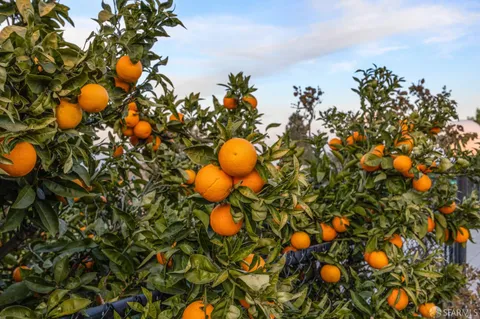 $559,000 | 1202 Alamo Way, Pittsburg, CA 94565