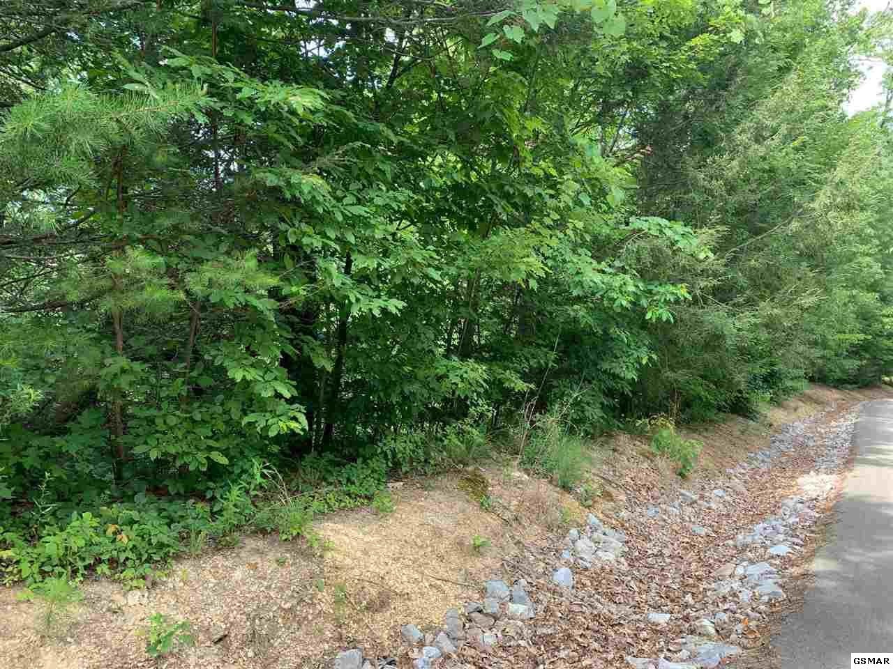 91 Bird View Lane Sevierville, TN 37862 - Photo 1 of 3