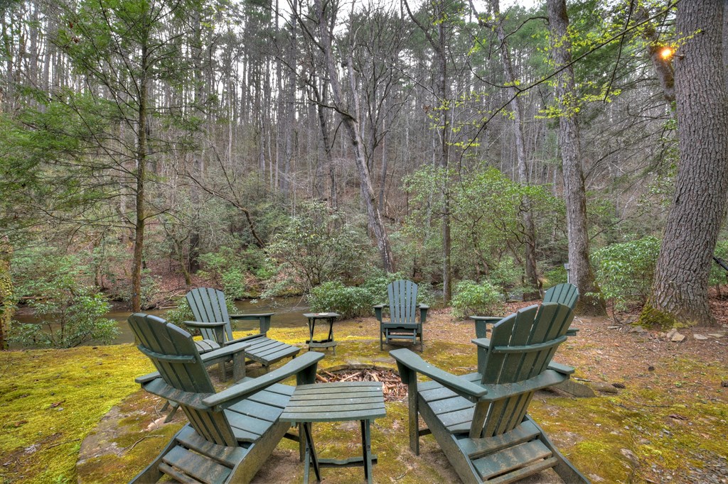 266 River Road Cherry Log, GA 30522 - Photo 55 of 66 Fire pit at river