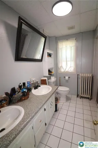 a bathroom with a double vanity sink mirror and toilet