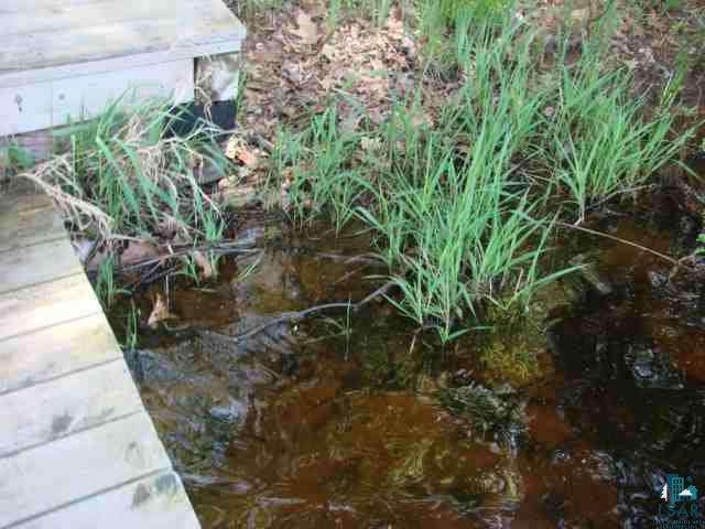 7979 South Hallberg Road Lake Nebagamon, WI 54849 - Photo 4 of 25