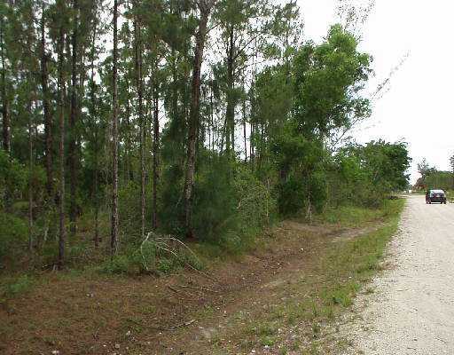 T-172 41st Road North Loxahatchee, FL 33470 - Photo 1 of 5 Primary Photo