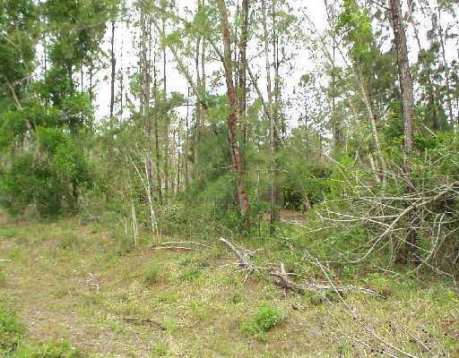 T-172 41st Road North Loxahatchee, FL 33470 - Photo 3 of 5 Additional Photo