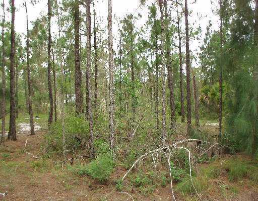 T-172 41st Road North Loxahatchee, FL 33470 - Photo 4 of 5 Additional Photo
