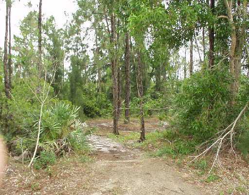 T-172 41st Road North Loxahatchee, FL 33470 - Photo 5 of 5 Additional Photo