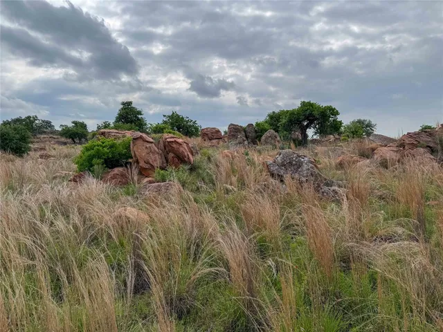 a view of a green field