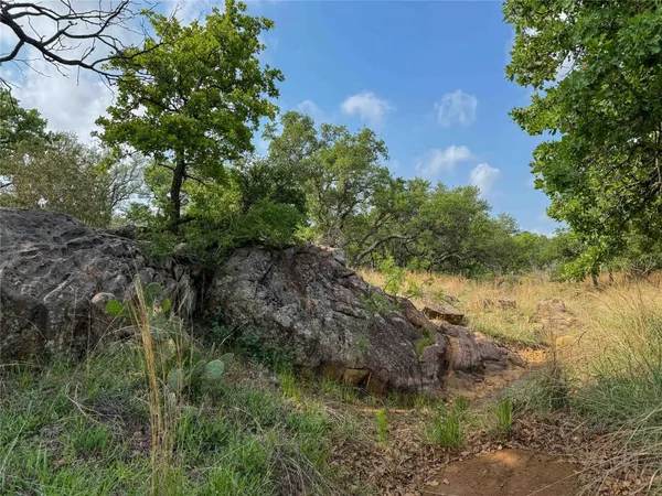 a view of a yard with a plant