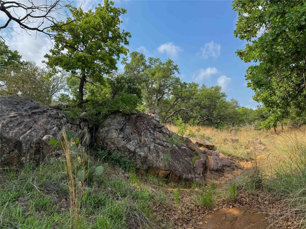 Tbd Fly Gap Road Pontotoc, TX 76869 - Photo 14 of 24 a view of a lush green forest