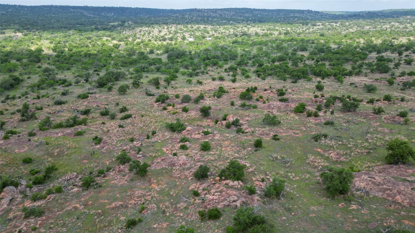 Tbd Fly Gap Road Pontotoc, TX 76869 - Photo 17 of 24 a view of a large trees with lots of trees