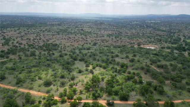 an aerial view of residential houses with outdoor space and trees