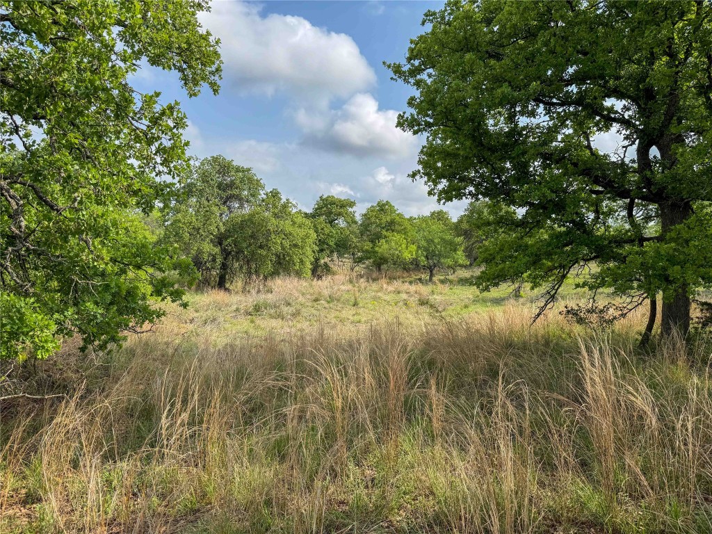 Tbd Fly Gap Road Pontotoc, TX 76869 - Photo 2 of 24