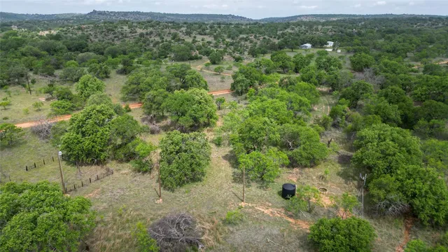 a view of a field with a tree