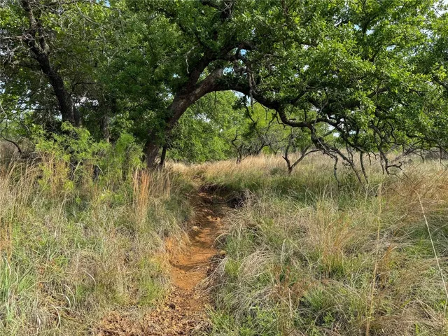 a view of a dry yard with lots of green space