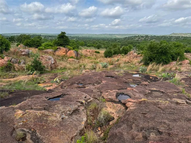 a view of a city with lush green forest
