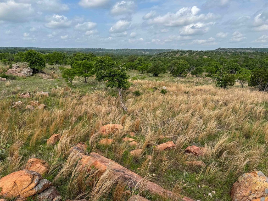 Tbd Fly Gap Road Pontotoc, TX 76869 - Photo 9 of 24