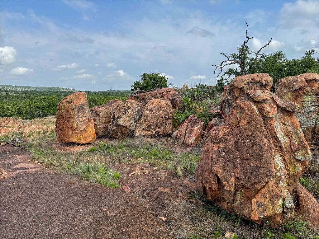 Tbd Fly Gap Road Pontotoc, TX 76869 - Photo 10 of 24 a view of a yard with table and chairs