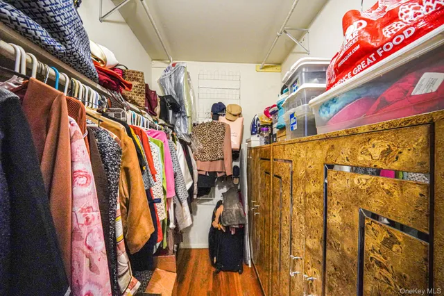 a view of walk in closet with clothes
