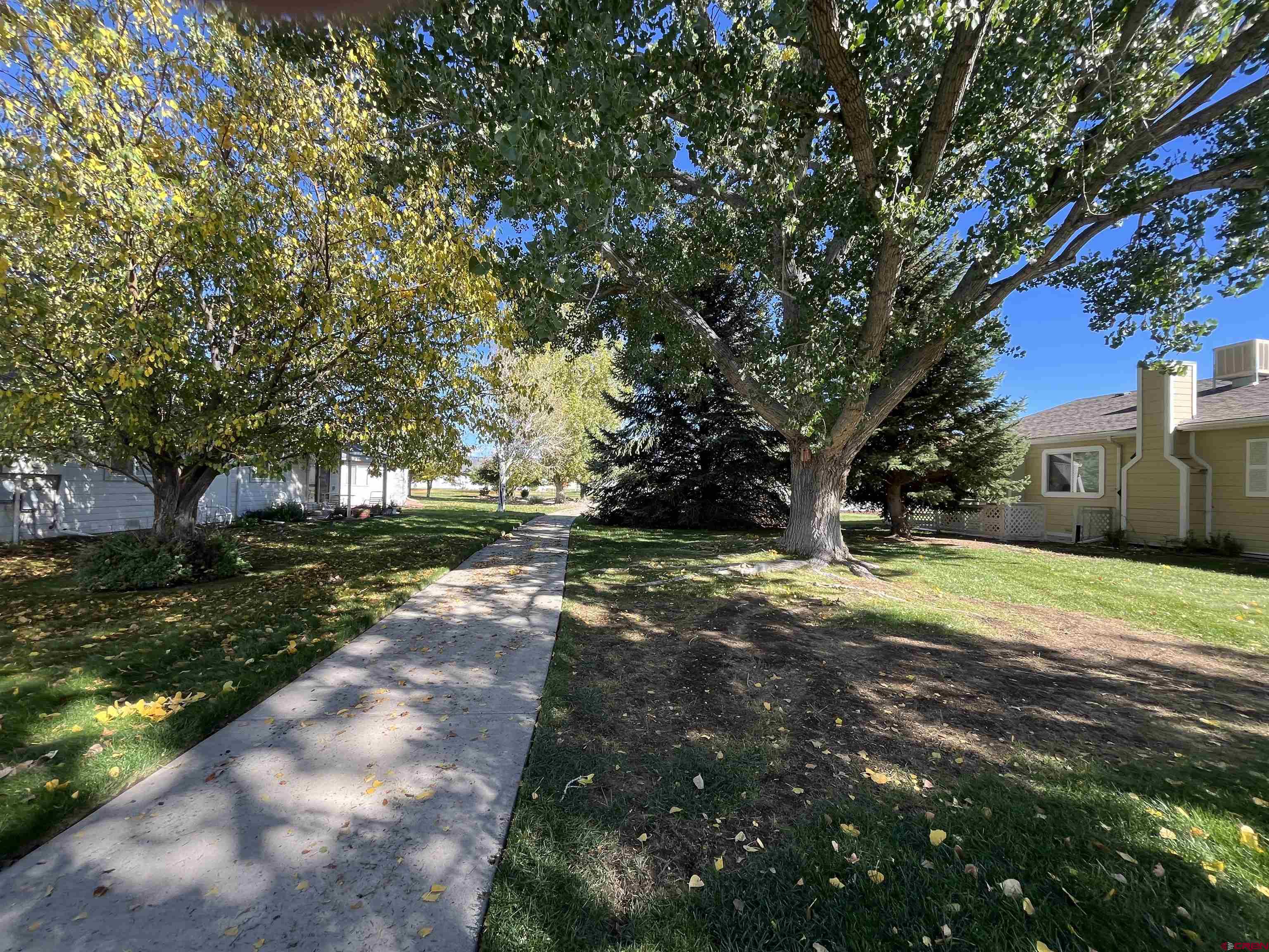 1691 Rheims Court Montrose, CO 81401 - Photo 6 of 25