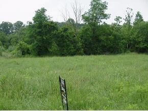 Lot Q Bill Mauk Road, Unit Q Chuckey, TN 37641 - Photo 2 of 4 Photo 2