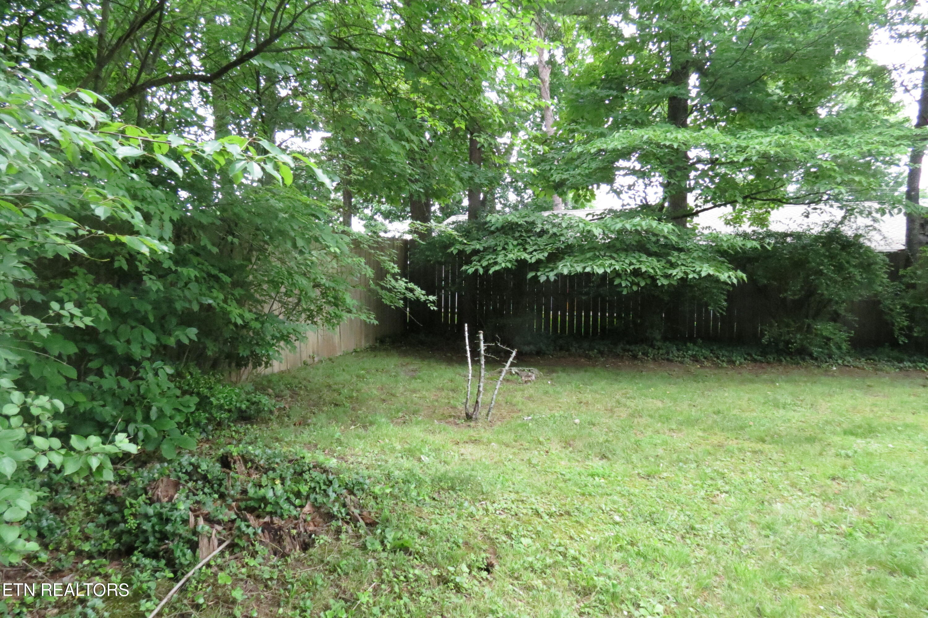 204 West Fairview Road Oak Ridge, TN 37830 - Photo 3 of 12 IMG_0025