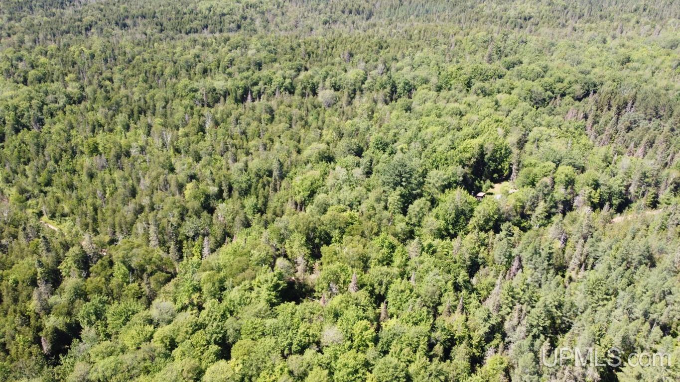 Tbd Tbd Stack Grade Little Lake Rock, MI 49880 - Photo 34 of 45