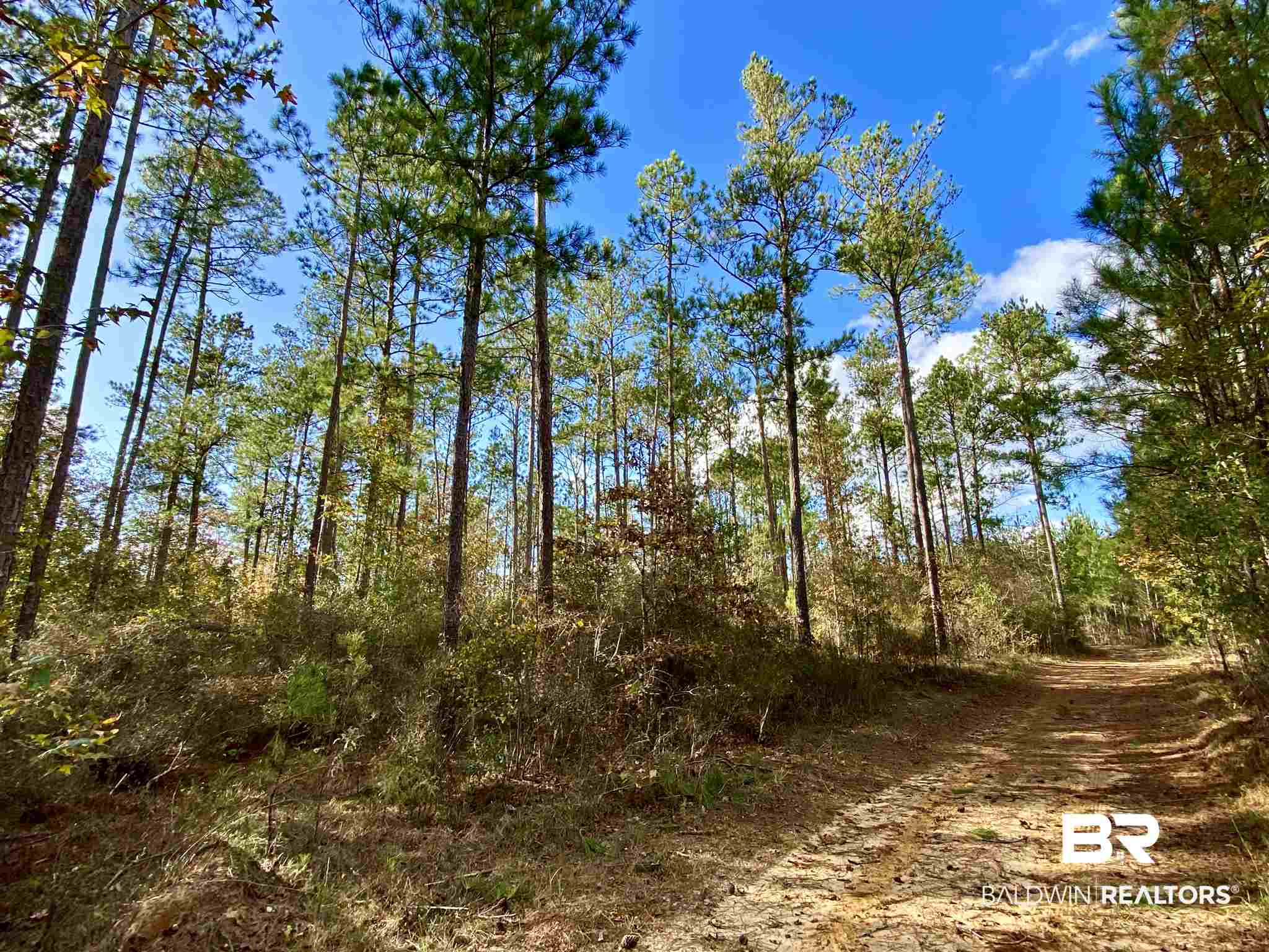 0 Whitetail Run Chatom, AL 36518 - Photo 24 of 29