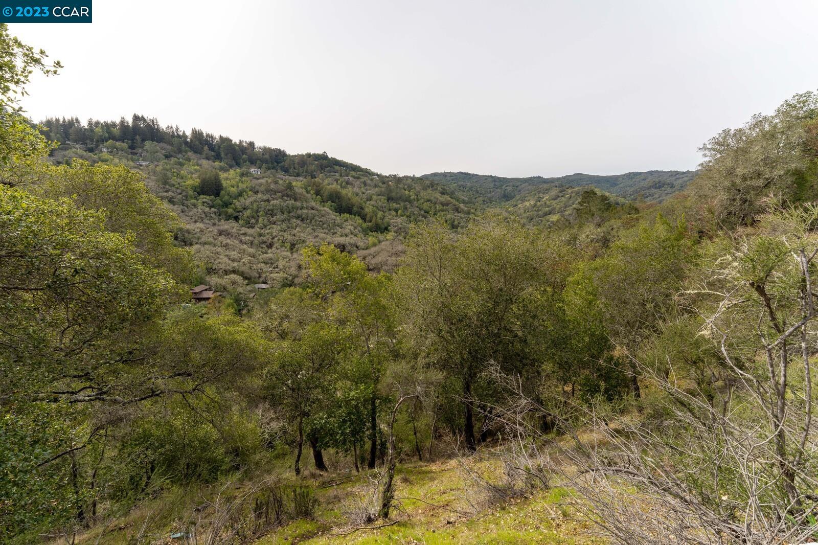 526 Cascade Drive Fairfax, CA 94930 - Photo 1 of 1 a view of a forest with mountains in the background