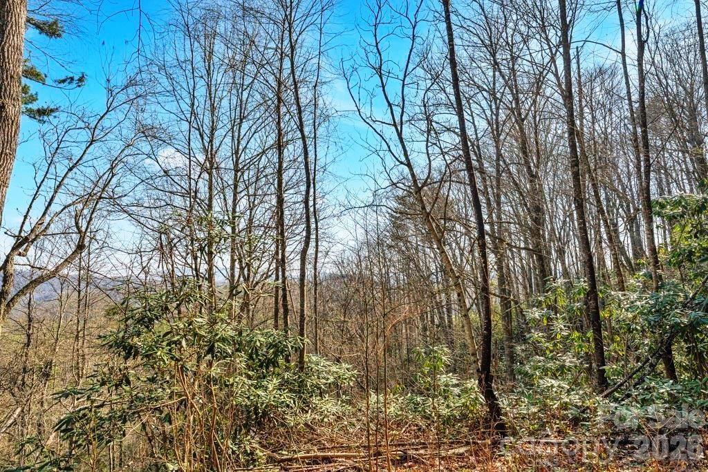 Tbd Rominger Road Banner Elk, NC 28604 - Photo 11 of 14