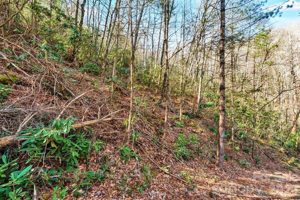 Tbd Rominger Road Banner Elk, NC 28604 - Photo 12 of 14