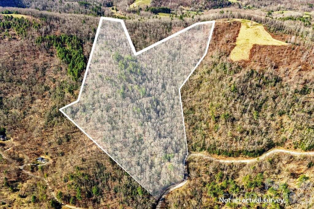Tbd Rominger Road Banner Elk, NC 28604 - Photo 2 of 14