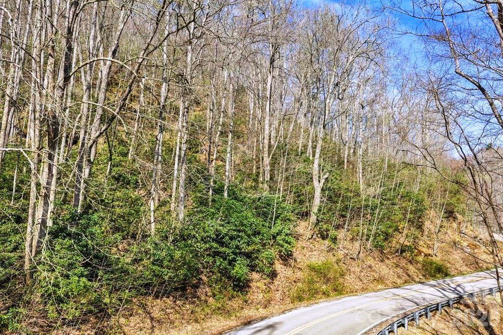 Tbd Rominger Road Banner Elk, NC 28604 - Photo 4 of 14