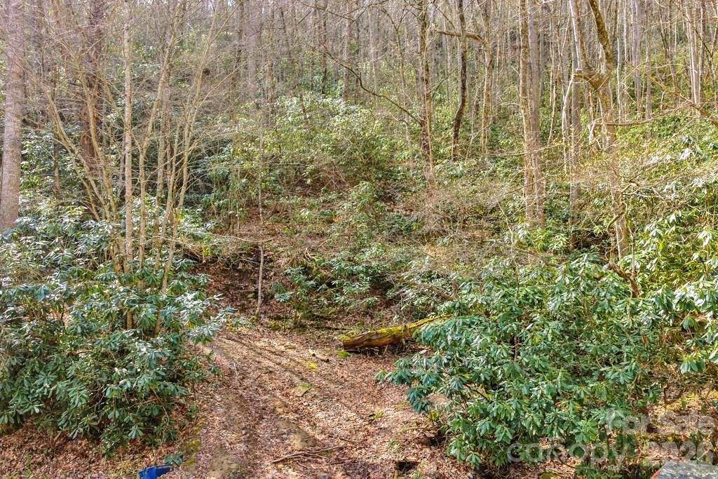 Tbd Rominger Road Banner Elk, NC 28604 - Photo 5 of 14