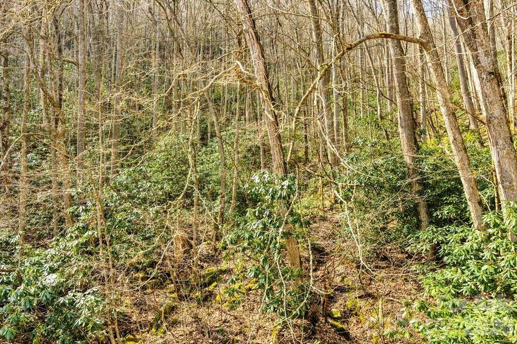 Tbd Rominger Road Banner Elk, NC 28604 - Photo 6 of 14