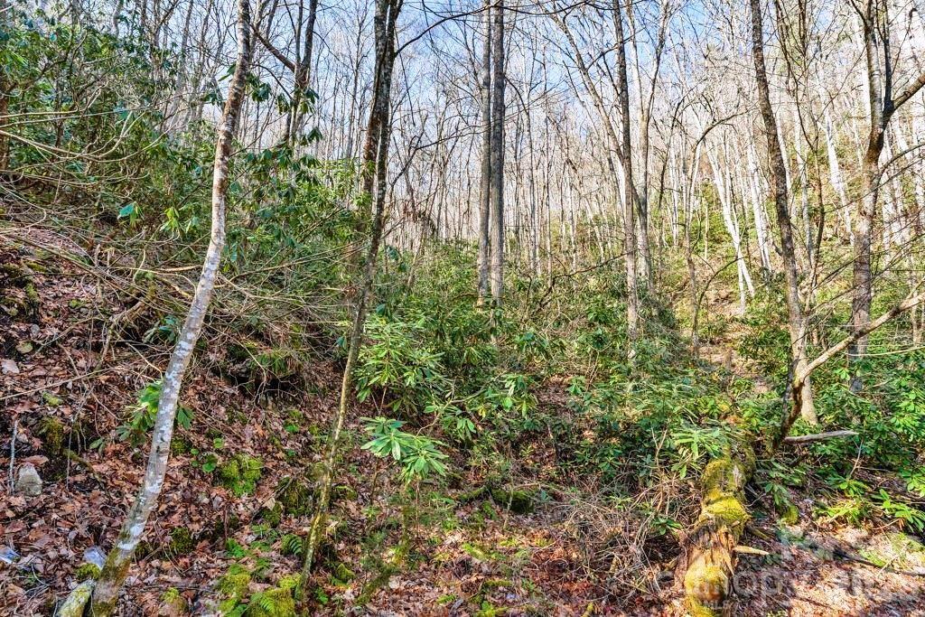 Tbd Rominger Road Banner Elk, NC 28604 - Photo 7 of 14