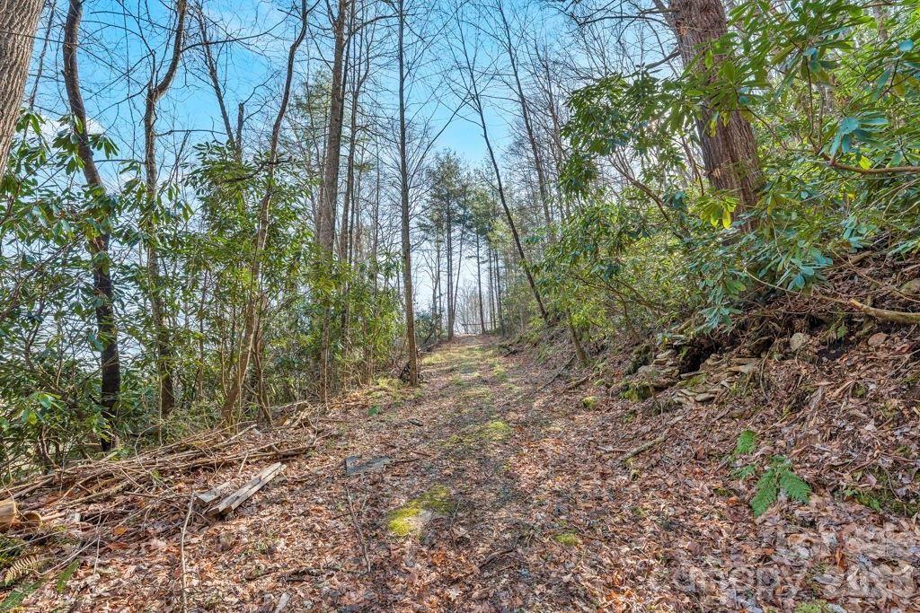 Tbd Rominger Road Banner Elk, NC 28604 - Photo 8 of 14