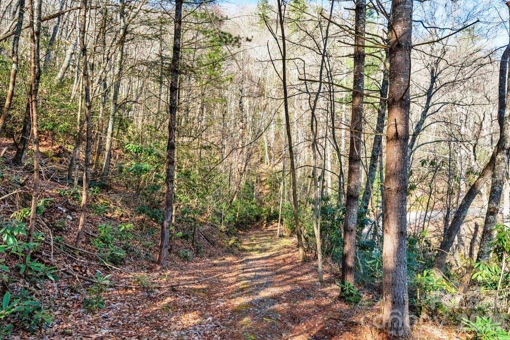 Tbd Rominger Road Banner Elk, NC 28604 - Photo 9 of 14