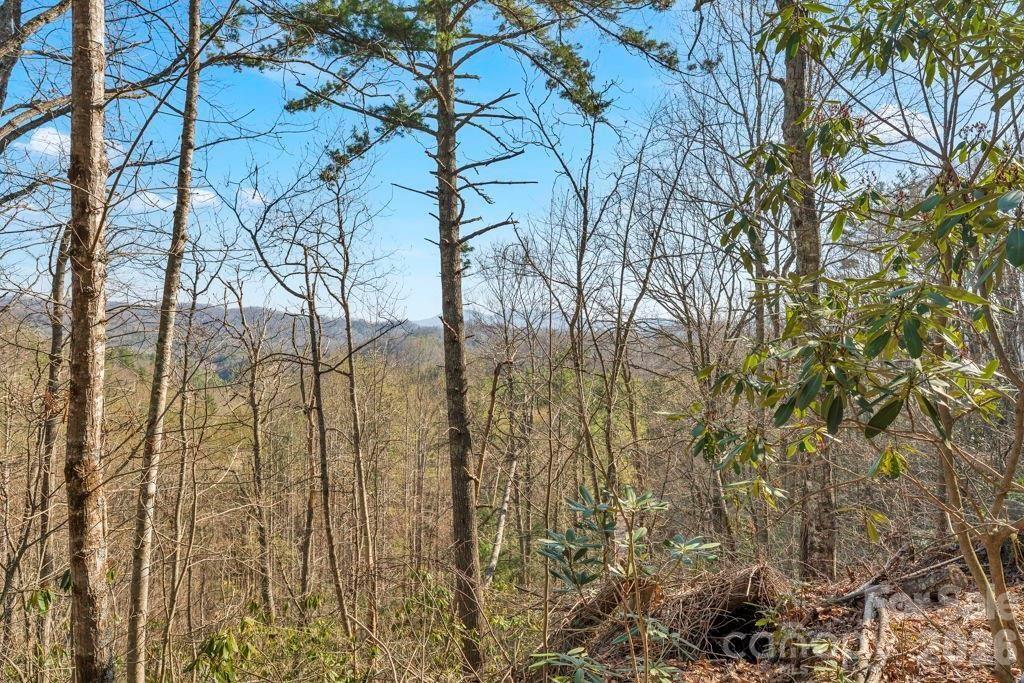 Tbd Rominger Road Banner Elk, NC 28604 - Photo 10 of 14