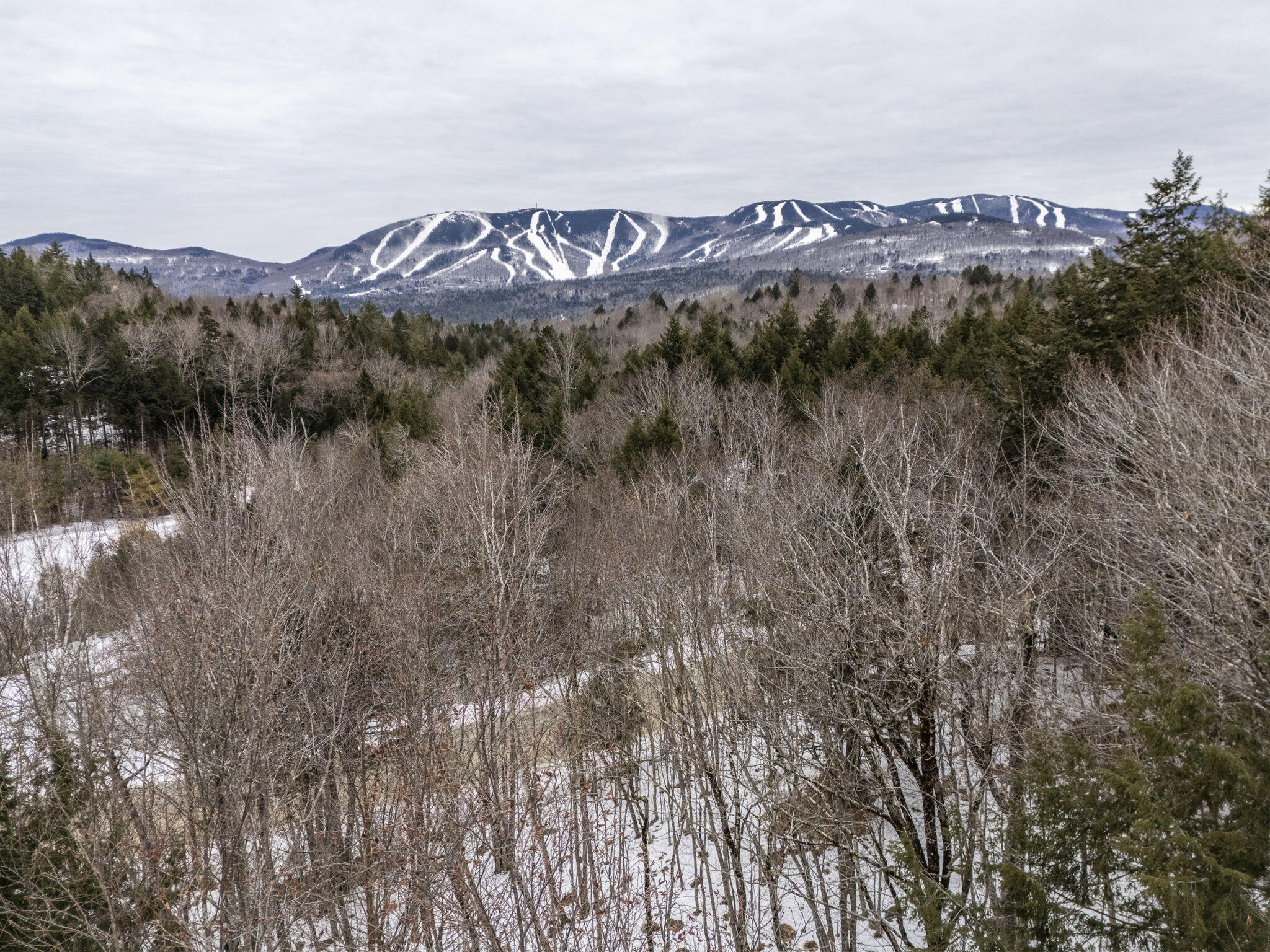 68 Douglass Road Newry, ME 04261 - Photo 8 of 19 7-web-or-mls-DouglassRoadLot68-7