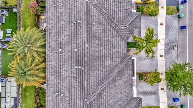 a plant is in front of a door