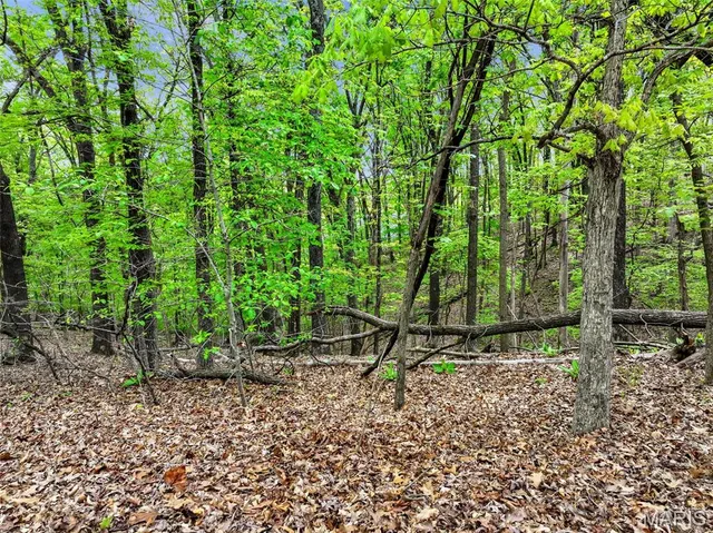 $65,000 | 1524 Shalimar Ridge Lane, High Ridge, MO 63049