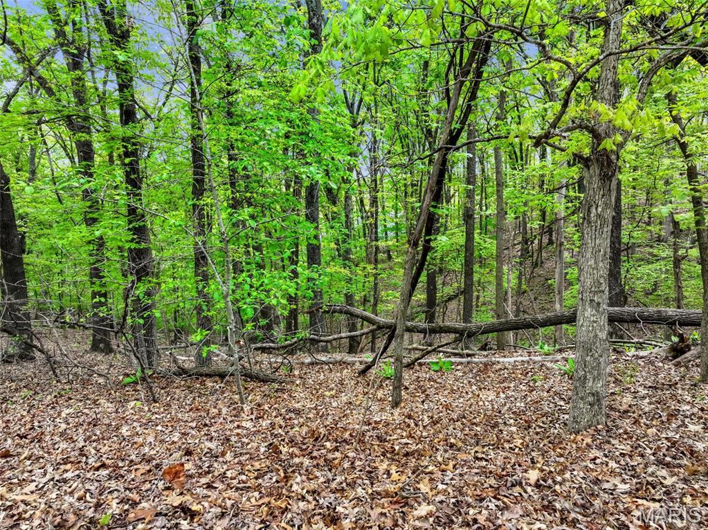 1524 Shalimar Ridge Lane High Ridge, MO 63049 - Photo 11 of 19