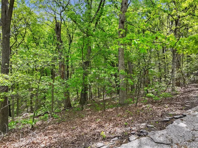 $65,000 | 1524 Shalimar Ridge Lane, High Ridge, MO 63049